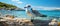 Seagull on a rock in front of the sea and mountains