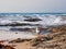 Seagull on Rocks Watching Heavy Ocean waves, Sydney, Australia