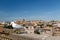 Seagull and the Roman Forum