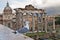 Seagull at the Roman Forum in Rome, Italy