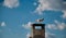 Seagull on the roof of the city and magnificent blue sky