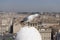 Seagull on rooftop, Rome, Italy