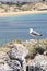 Seagull and Sagres beach