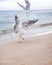 A Seagull screams on the beach, flapping its wings.