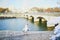 Seagull screeching on the Seine embankment in Paris