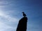 Seagull sculpture on rock against a blue sky contre-jour