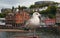 a seagull, a seabird, Oban, Scotland