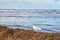 Seagull searches for food on a beach after a storm.