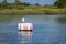 A seagull seen sitting on a white barrel buoy that says no wake on smooth water near a grassy swamp