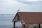 Seagull Sentry on a Gazebo Roof