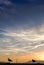 Seagull Setting Off from the Railing on San-Fransisco Pier During Sunset