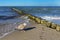 Seagull with shadow in front of a groyne