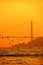 Seagull Silhouette With Bosphorus Bridge