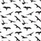 Seagull Silhouettes seamless pattern Silhouettes