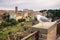 Seagull siting at the Roman Forum in Rome, Italy