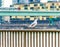 A seagull sits on the banks of the Rhine in Cologne