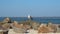 Seagull sits on rocks against background of sea in summer