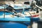 Seagull sitting on blue boat sundeck in Piran marina