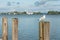 A Seagull sitting on a Bollard of Pier Herrenchiemsee, Bavaria