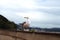 Seagull sitting on border on blue sky and cityscape background