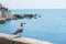 Seagull sitting on green rock in water near the Nesebar city, Bulgaria