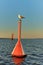 Seagull sitting on a navigation marker buoy in Vistula Lagoon