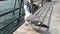 Seagull sitting on a pier close up