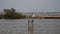 Seagull sitting on pier in the ocean.