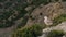 Seagull sitting on the rock