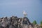 Seagull sitting on a rock on the edge of the mountain. View of the largest source in the entire Caucasus - Lake Sevan. Gegharkunik