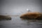 Seagull sitting on stone