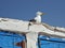 Seagull sitting on top of the white and blue wall