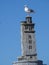 Seagull sitting on wood lighthouse