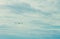 A seagull soaring free in the air against a blue cloudy sky