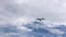 Seagull soars in the blue sky with clouds