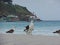 Seagull stand on the sand, Prainhas do Pontal beach, Arraial do Cabo