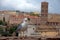 Seagull standing with background of Rome, Italy