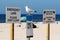 Seagull standing on a free wi-fi sign