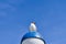 Seagull standing on lampshade on the Baltic Sea by the sea. The bird looks sunset