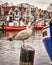 The seagull standing on a pillar. In the background is the old harbor of WarnemÃ¼nde with boats and houses