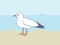 Seagull standing on the sand against the background of water in sunny weather