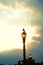 A seagull standing on a street lamp in the evening golden sunset