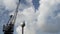 Seagull standing on the street lamp in front of black construction crane. Action. Beautiful white bird on a streetlight