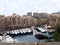 Seagull staring at yachts in Monaco