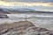 A seagull on a stone near the cathedral beach. Praia de Augas Santas, Ribadeo