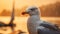 Seagull At Sunset: A Close-up Intensity In Soft Light