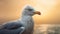 Seagull At Sunset: Photorealistic Close-up In Soft Light