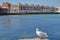 A seagull at Swanage seafront with traditional facades in the background, Swanage