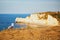 Seagull on the top of a cliff in Etretat