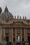 A seagull with the Vatican on the backgrond.